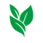 Logo of Evergreen